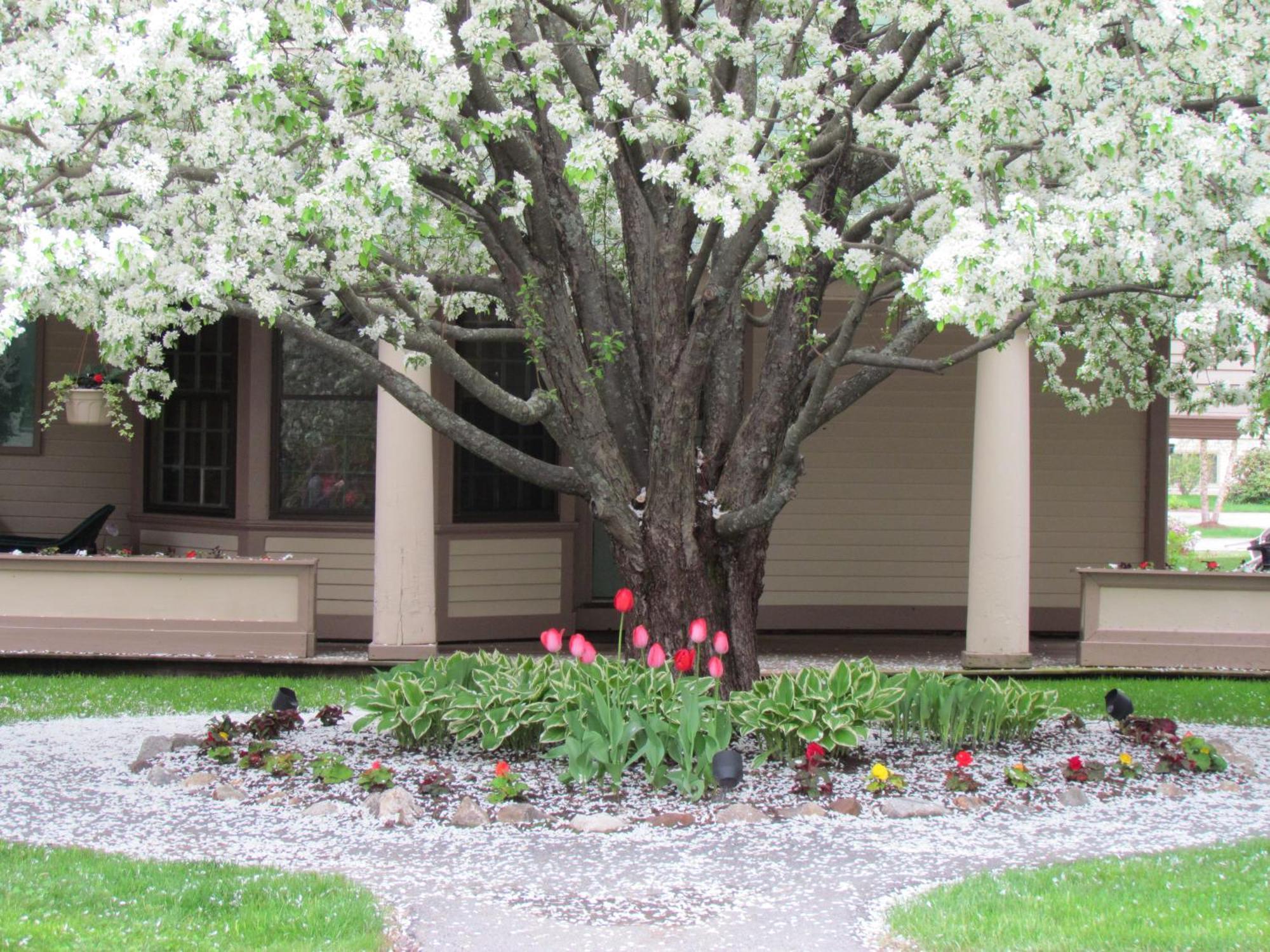 The Wentworth Hotel Jackson Exterior foto